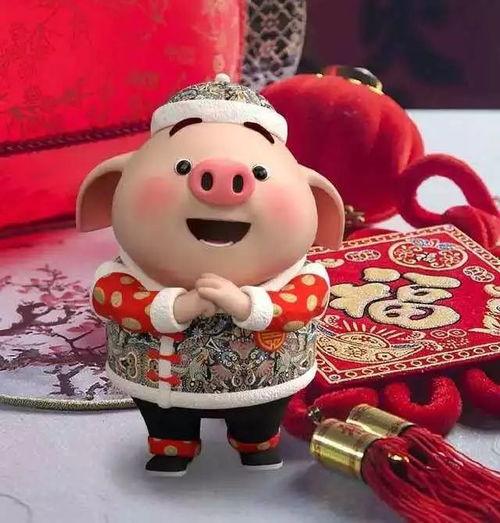 猪猪拜年搞笑视频,萌宠贺岁搞笑视频大盘点